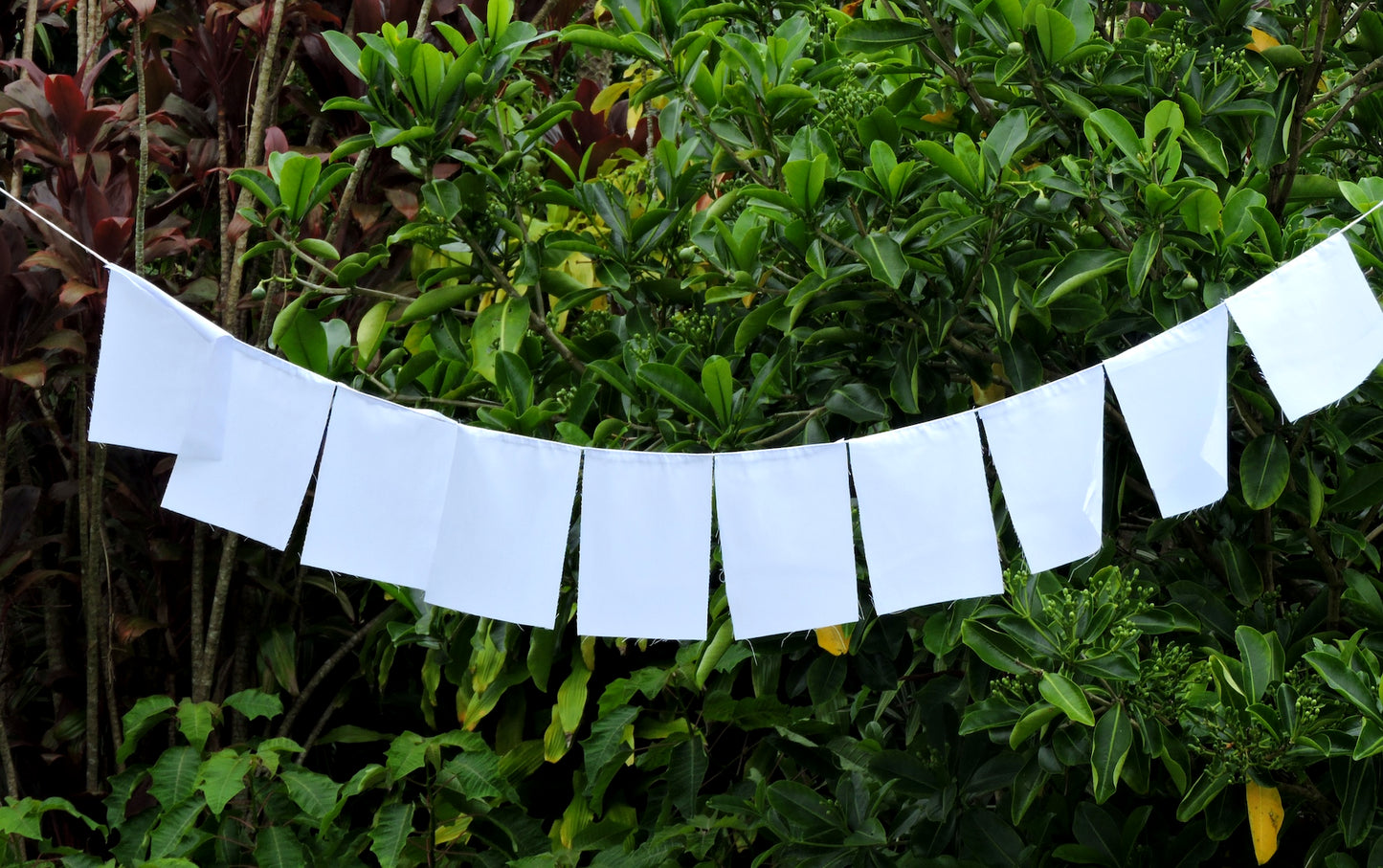 Solid white Blank Prayer Flags Set of 10 Flags Put Your own Prayers 6X8