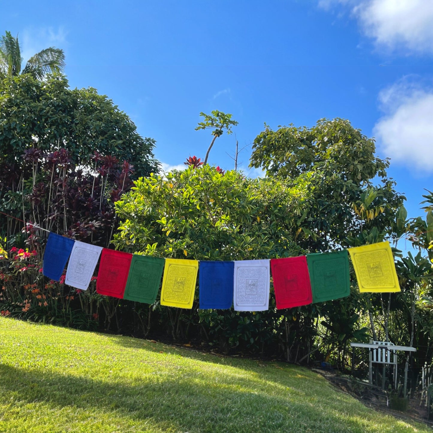 Medicine Buddha Tibetan Prayer Flags From Nepal Set of 10 Flags