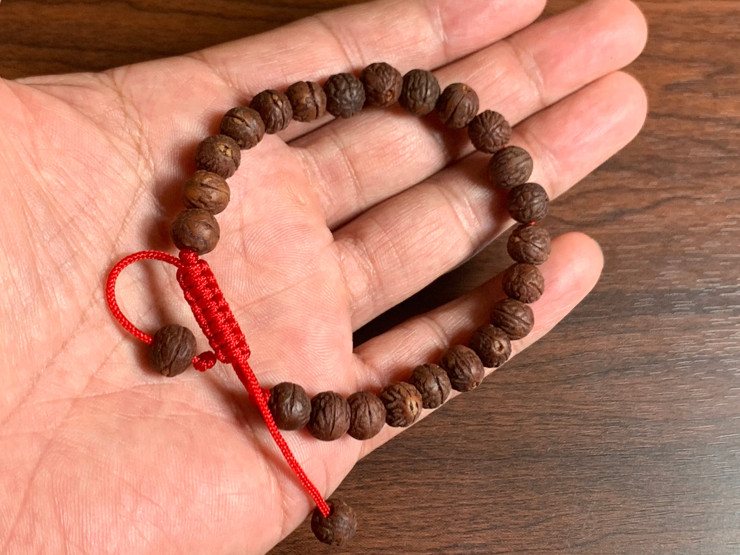 Natural Raktu Seed Wrist Mala/Bracelet for Meditation
