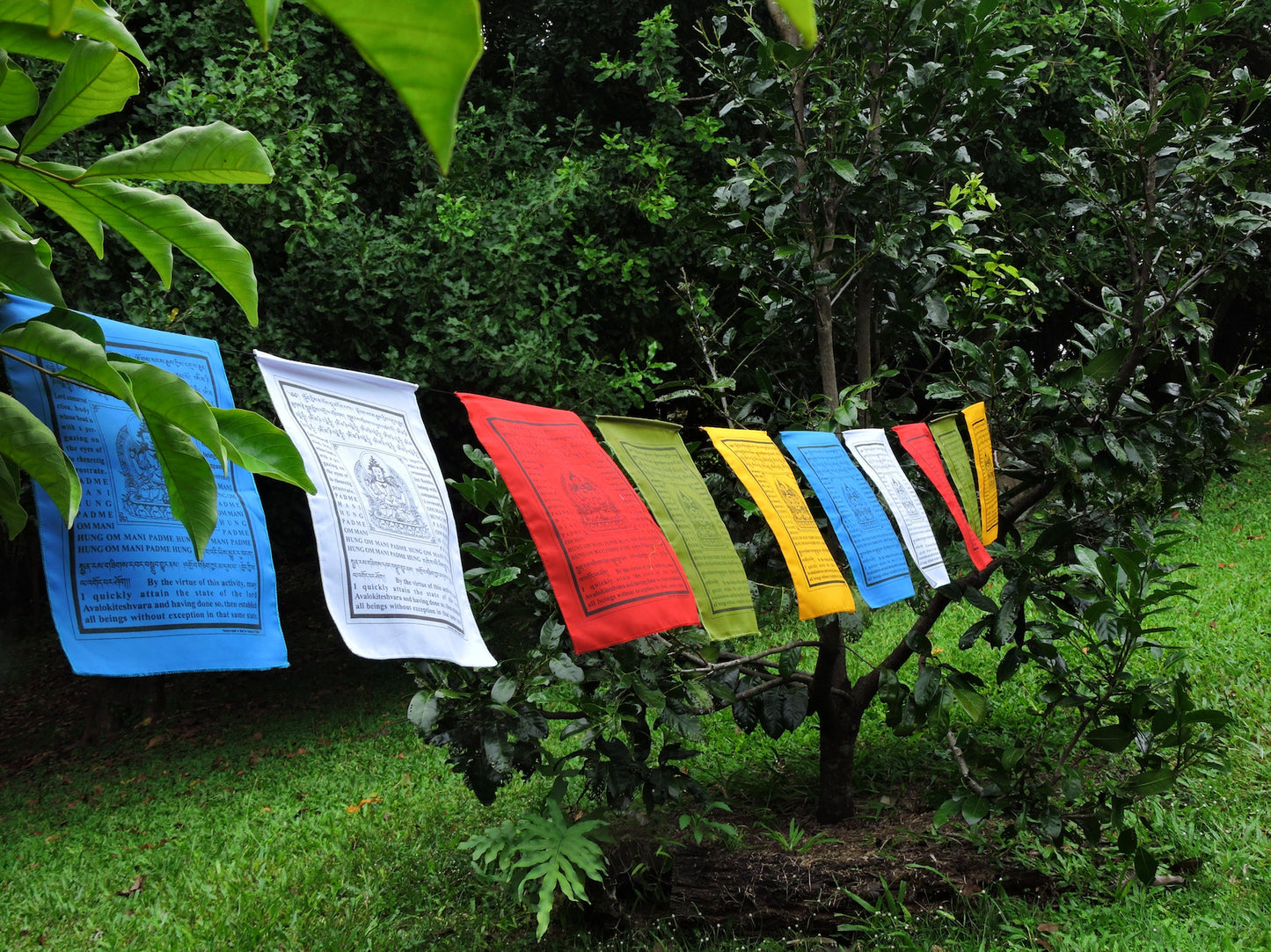Handmade Buddha of Compassion Prayer flags with English Translation (9x12)