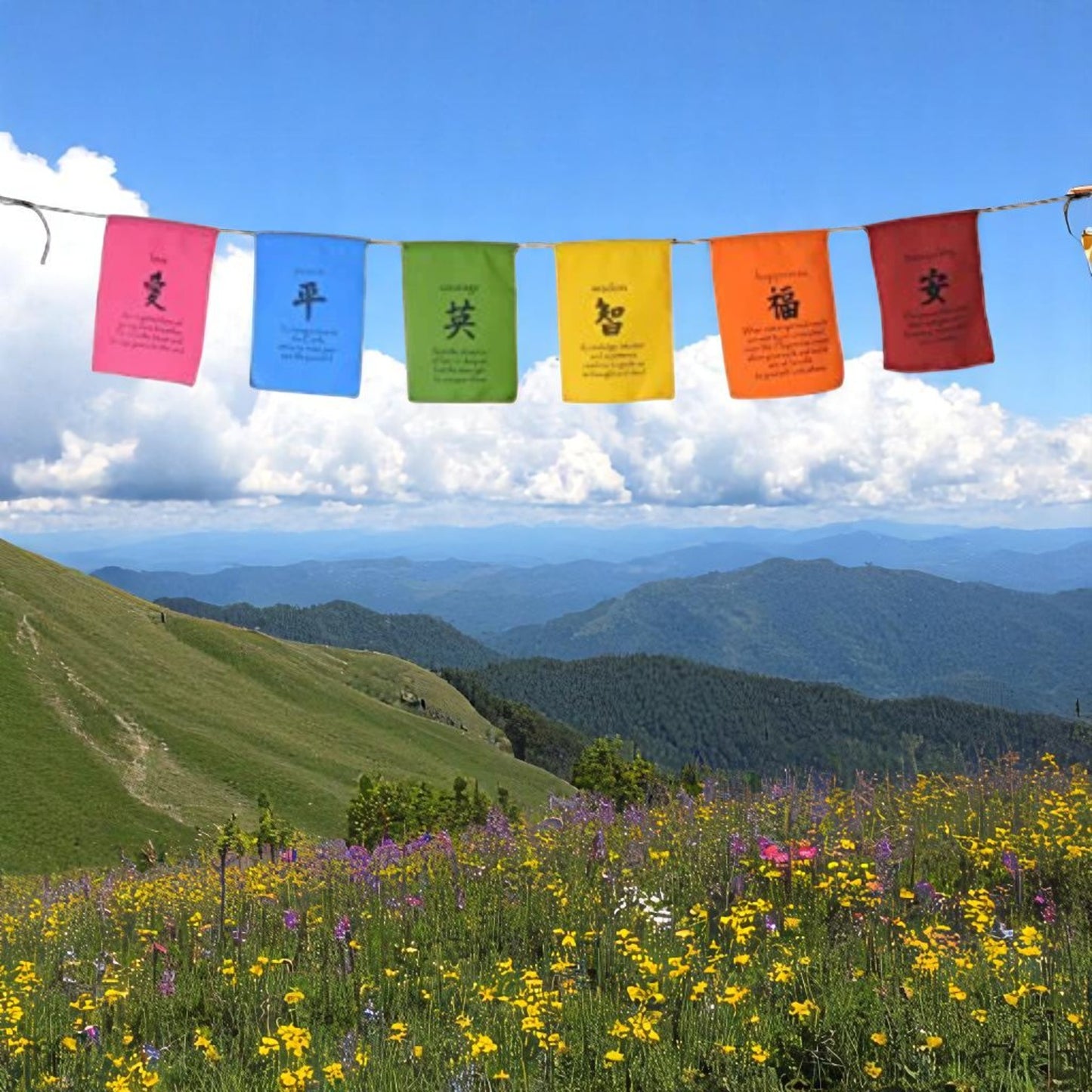 Tibetan Affirmation prayer flags-Peace, Happiness, Courage, Love, Tranquility,