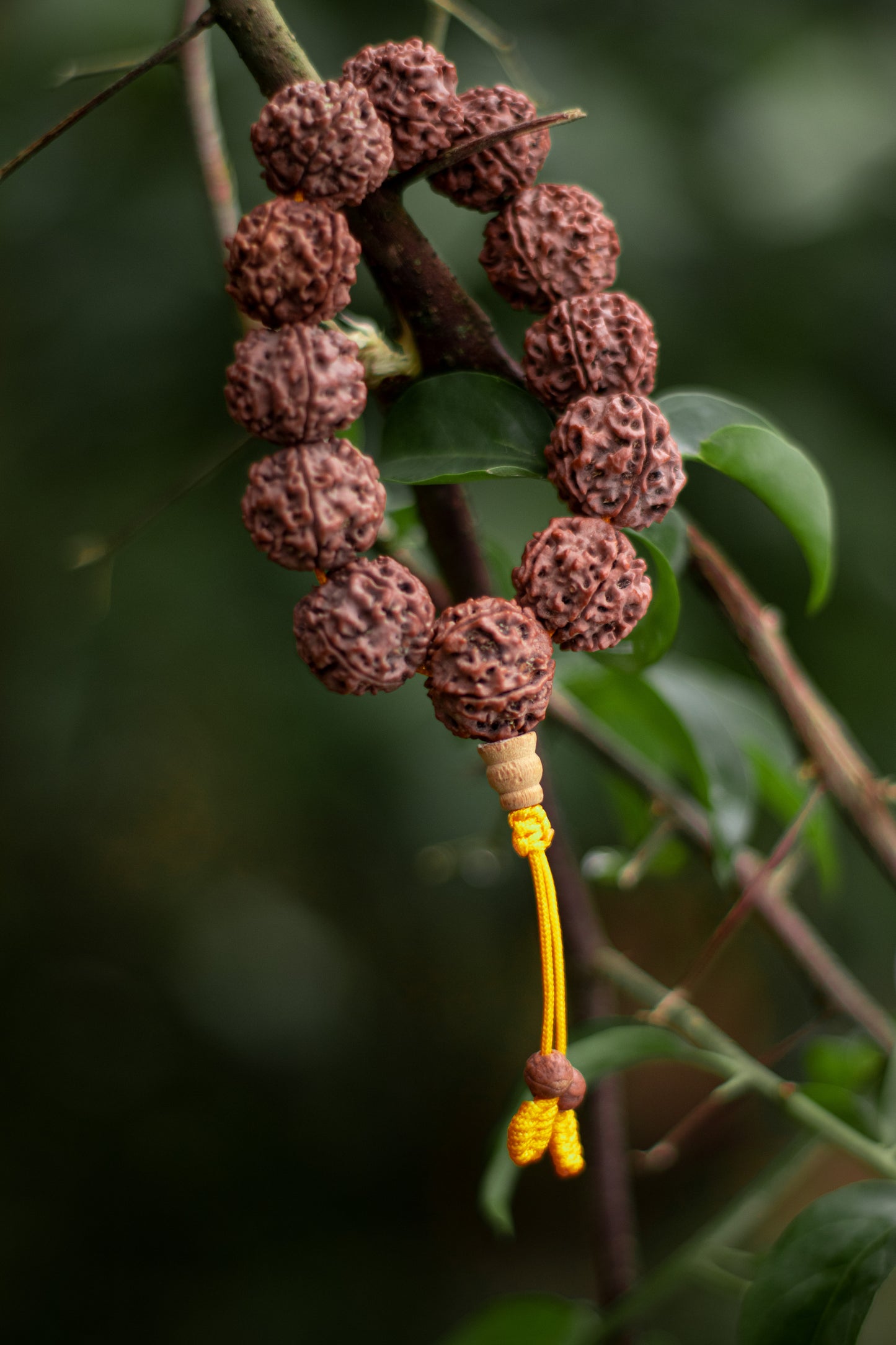 Tibet Mala Rudraksha Seed Wrist Mala/Bracelet Meditation beads (Extra Large)