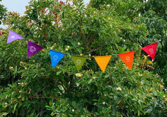 Handmade Triangle Seven Chakra Prayer Flags Heart Chakra, Root Chakra