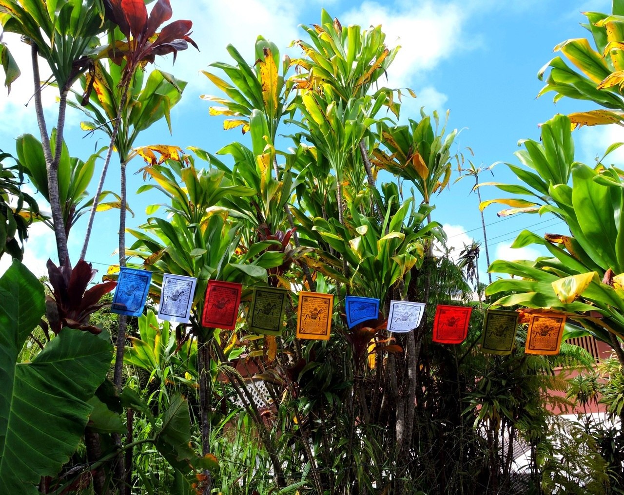 Handmade Tibetan Wind Horse Prayer Flags with English Translation - 6x8