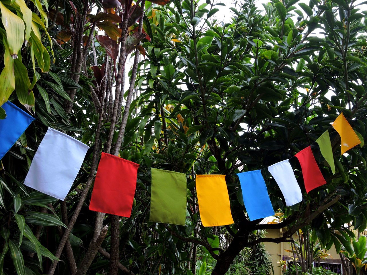 High Quality Blank prayer flags set of 10 flags surged edge